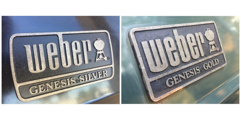 Silver and Gold Badges